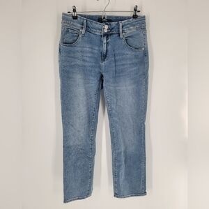Hudson denim jeans Size 8 Straight Legs‎ Mid Rise